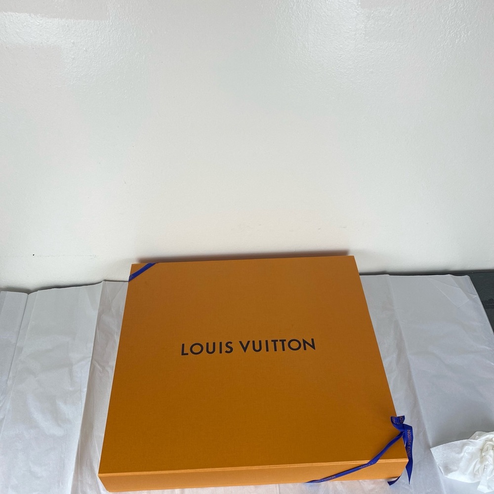 Louis Vuitton Storage Box - Large - Picture 2 of 8
